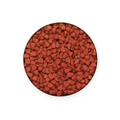 Annatto Samen
