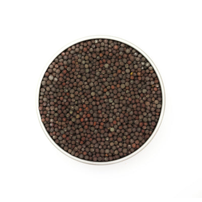 Senfkörner braun, bio